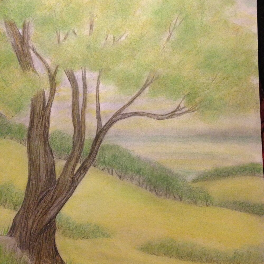 Pencil and Chalk Pastel Drawing